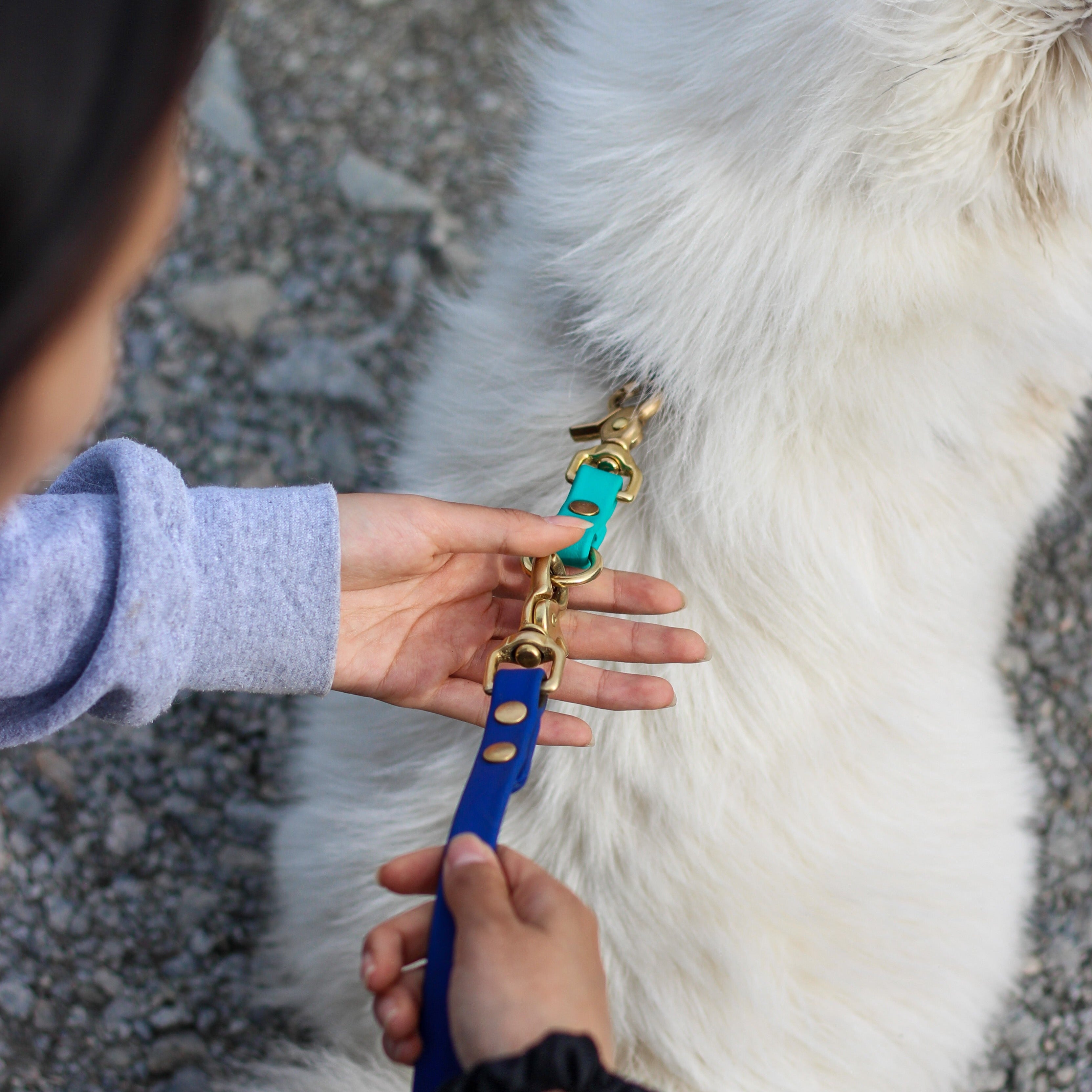 Woman using a Grab Tab on her dog as a Biothane Leash extension