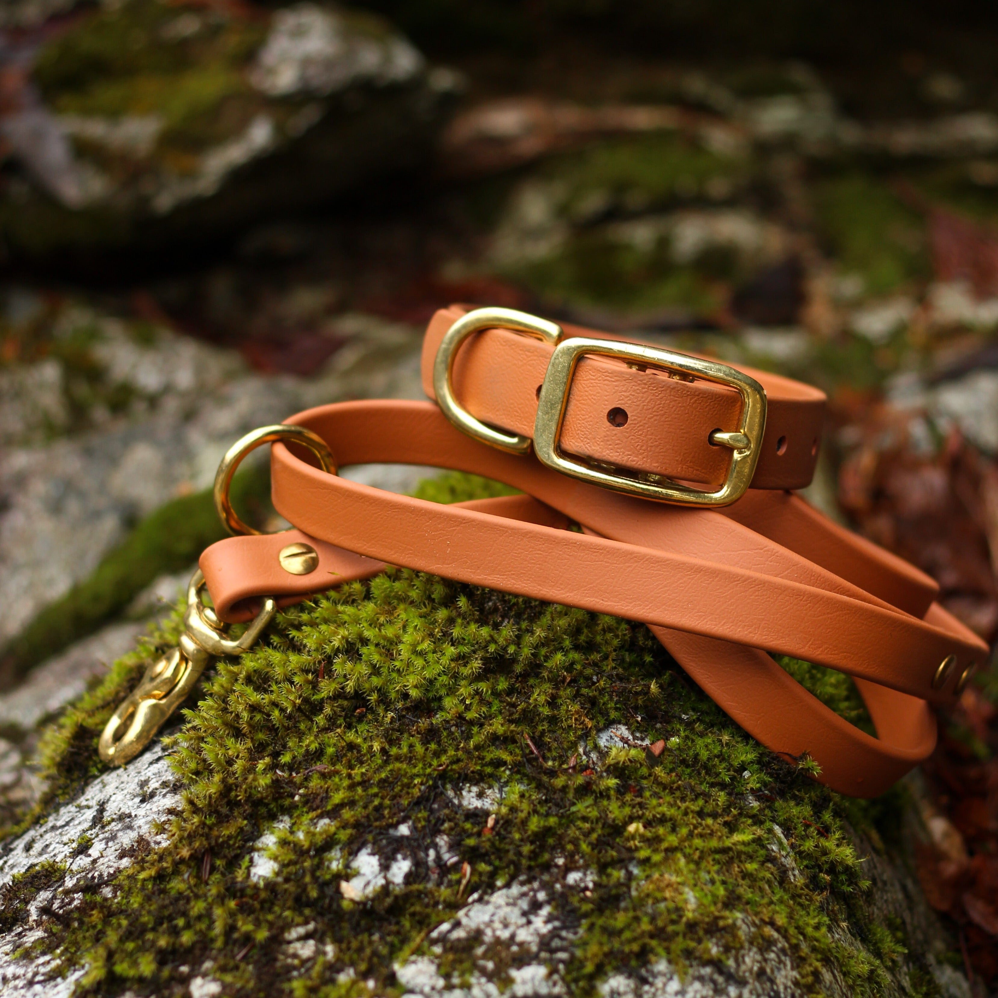 tan and brass waterproof biothane dog collar and dog leash