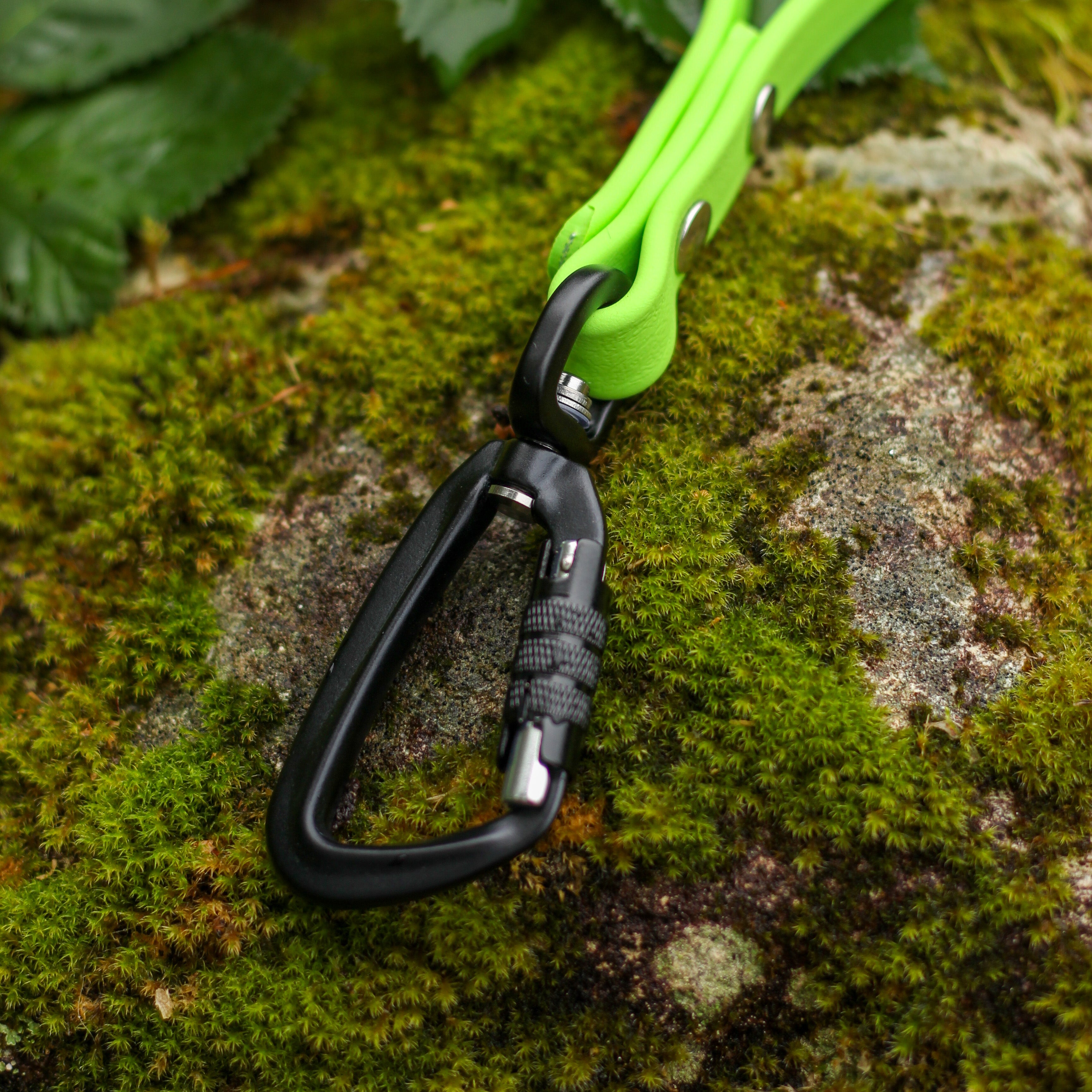 Customize your Biothane Dog Leash with Carabiner Clips