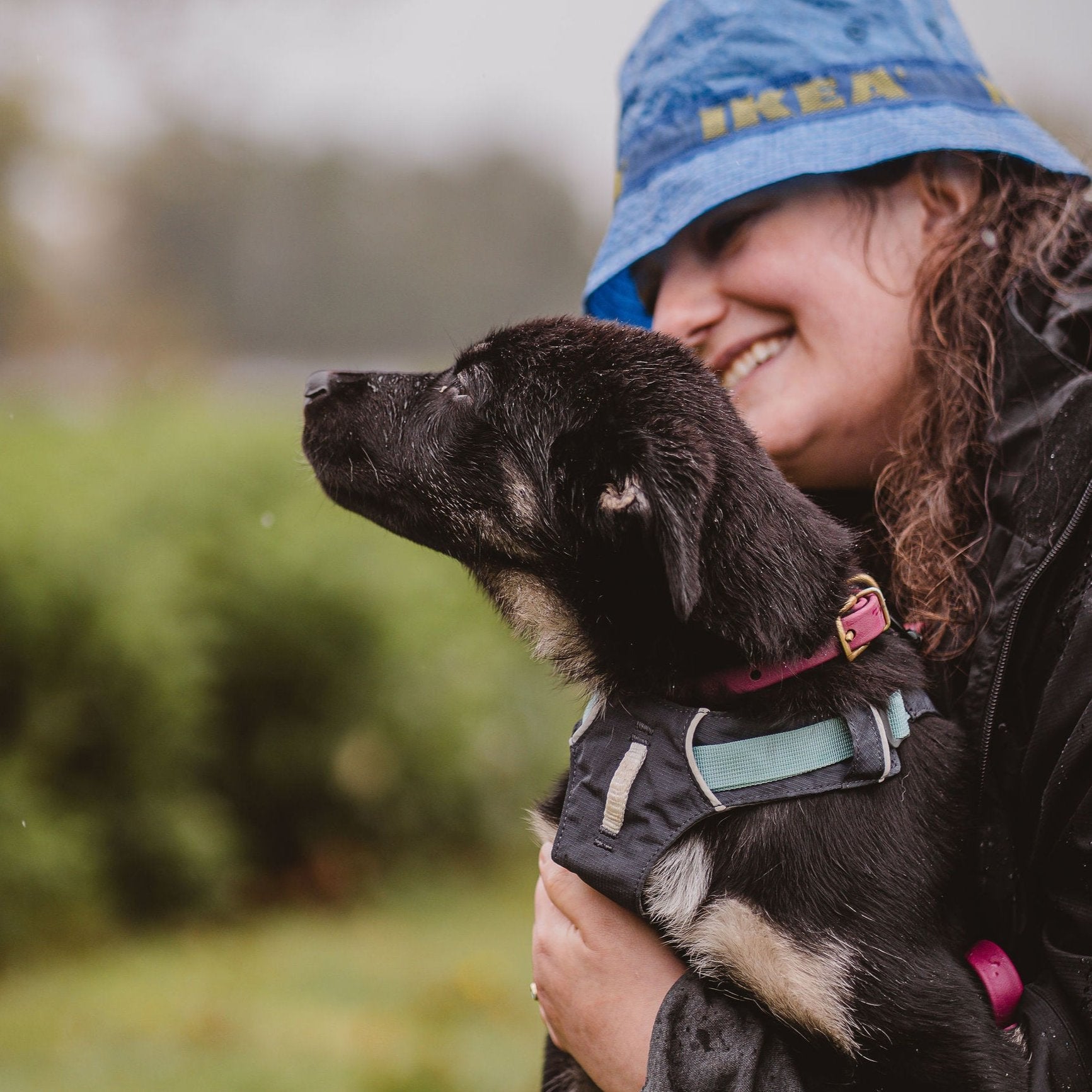 Outbound Canine Co.