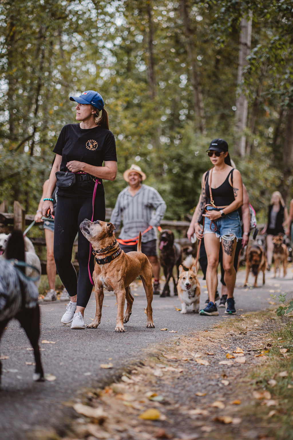 Outbound Canine Co.