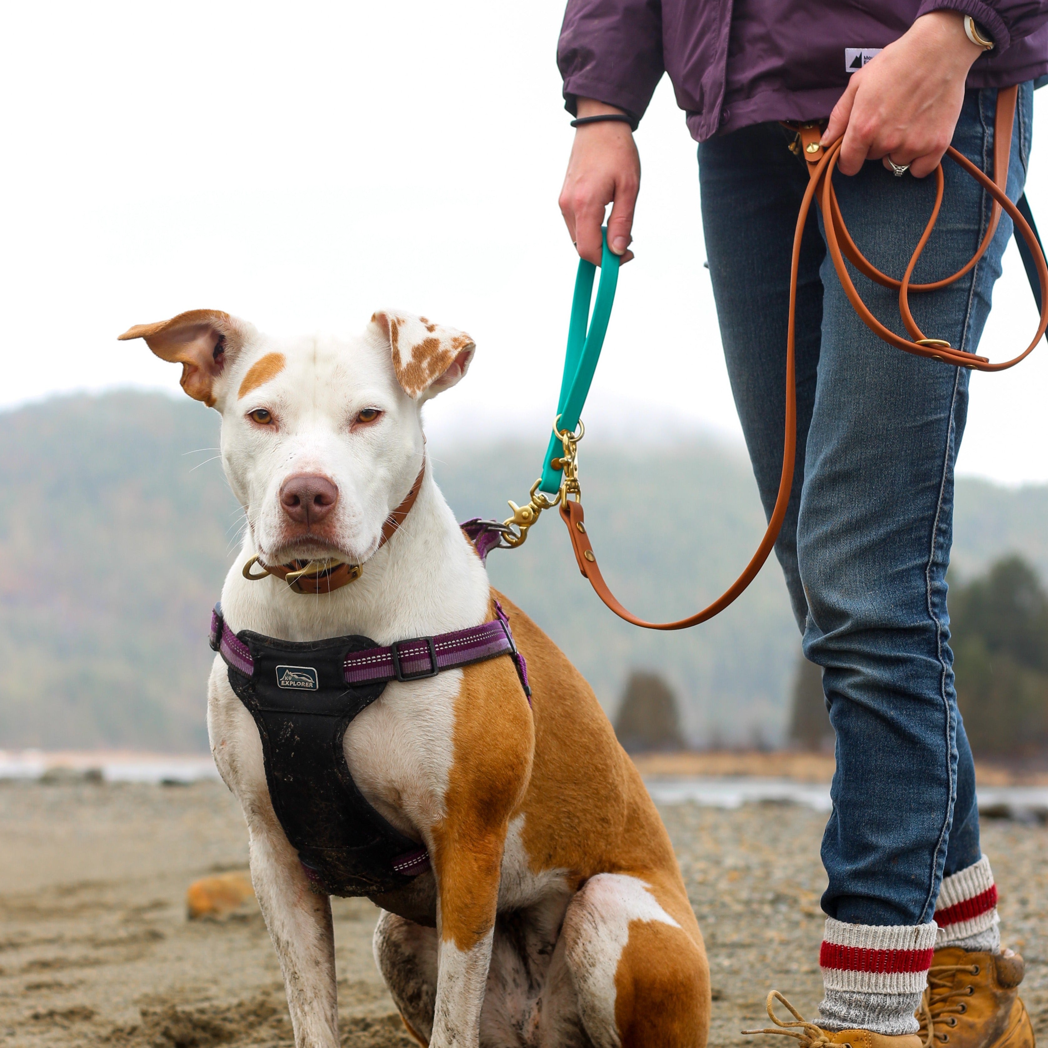 woman holding a bithane grab handle and an everyday dog leash while exploring beautiful british columbia
