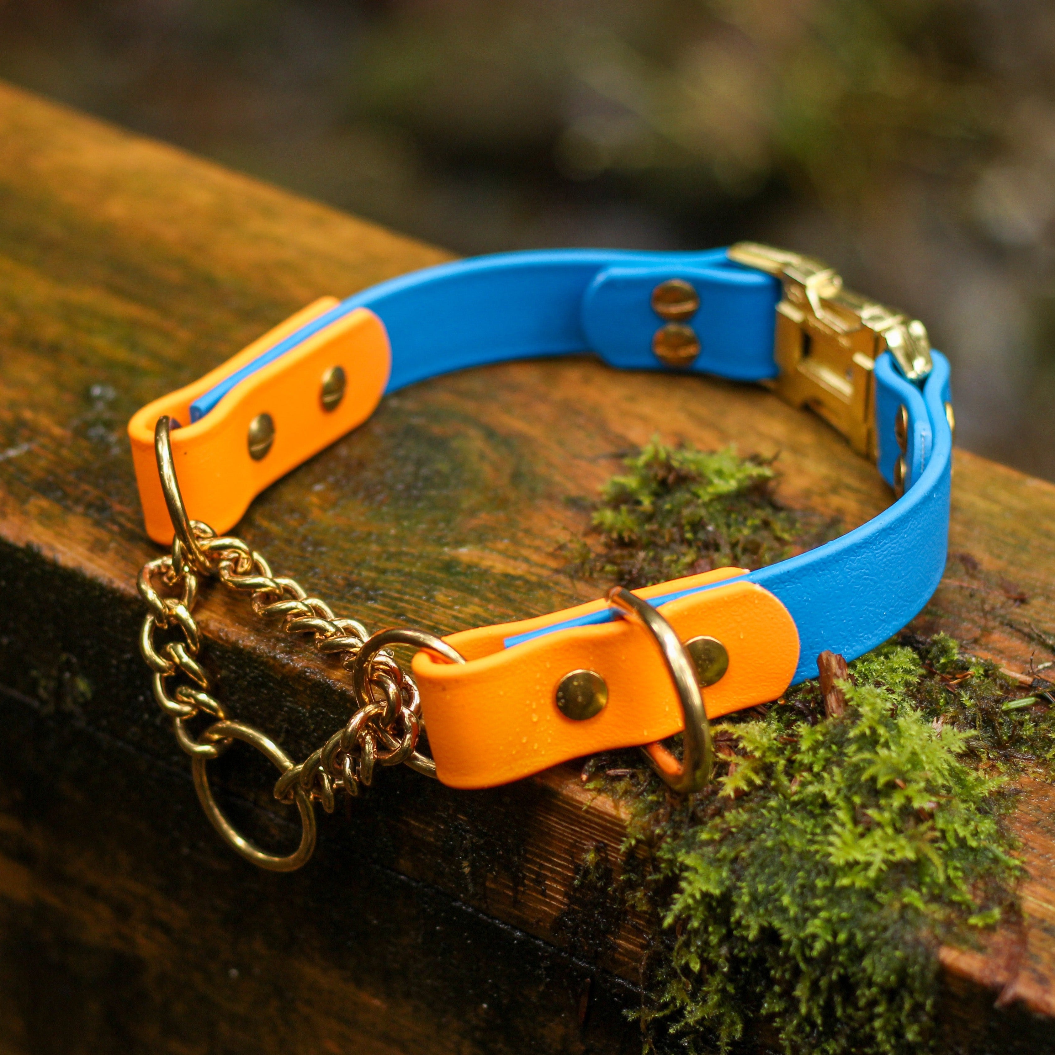 Blue and Orange Waterproof Biothane Martingale Dog Collar with an added on Quick-Release Buckle
