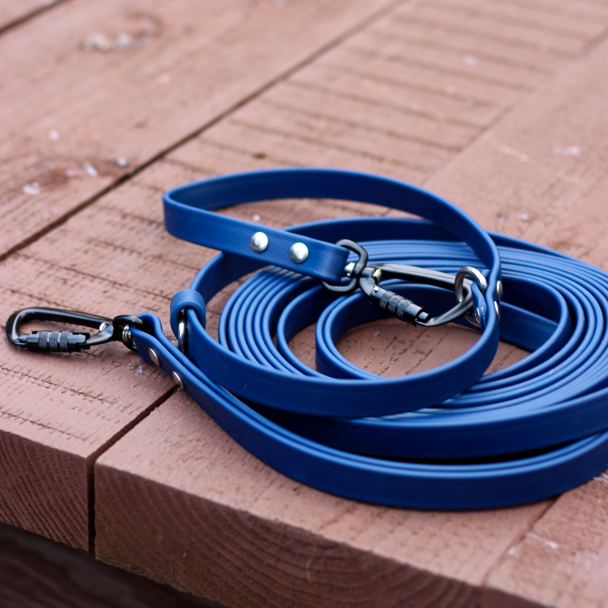 Blue Biothane Hands-Free Long Line with Carabiner Clips