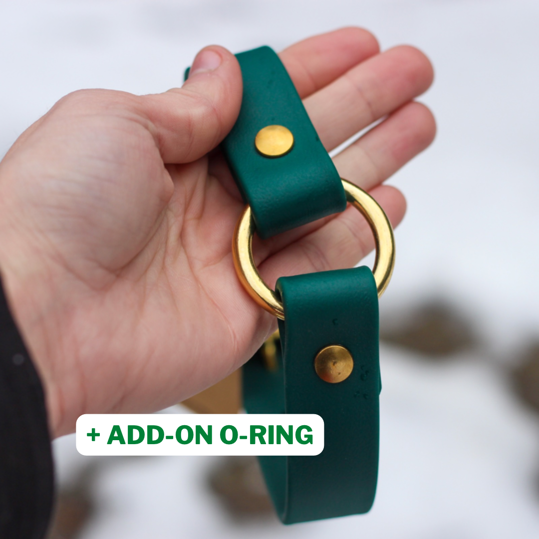 Customize your Biothane Dog Collar with an O-Ring for safety