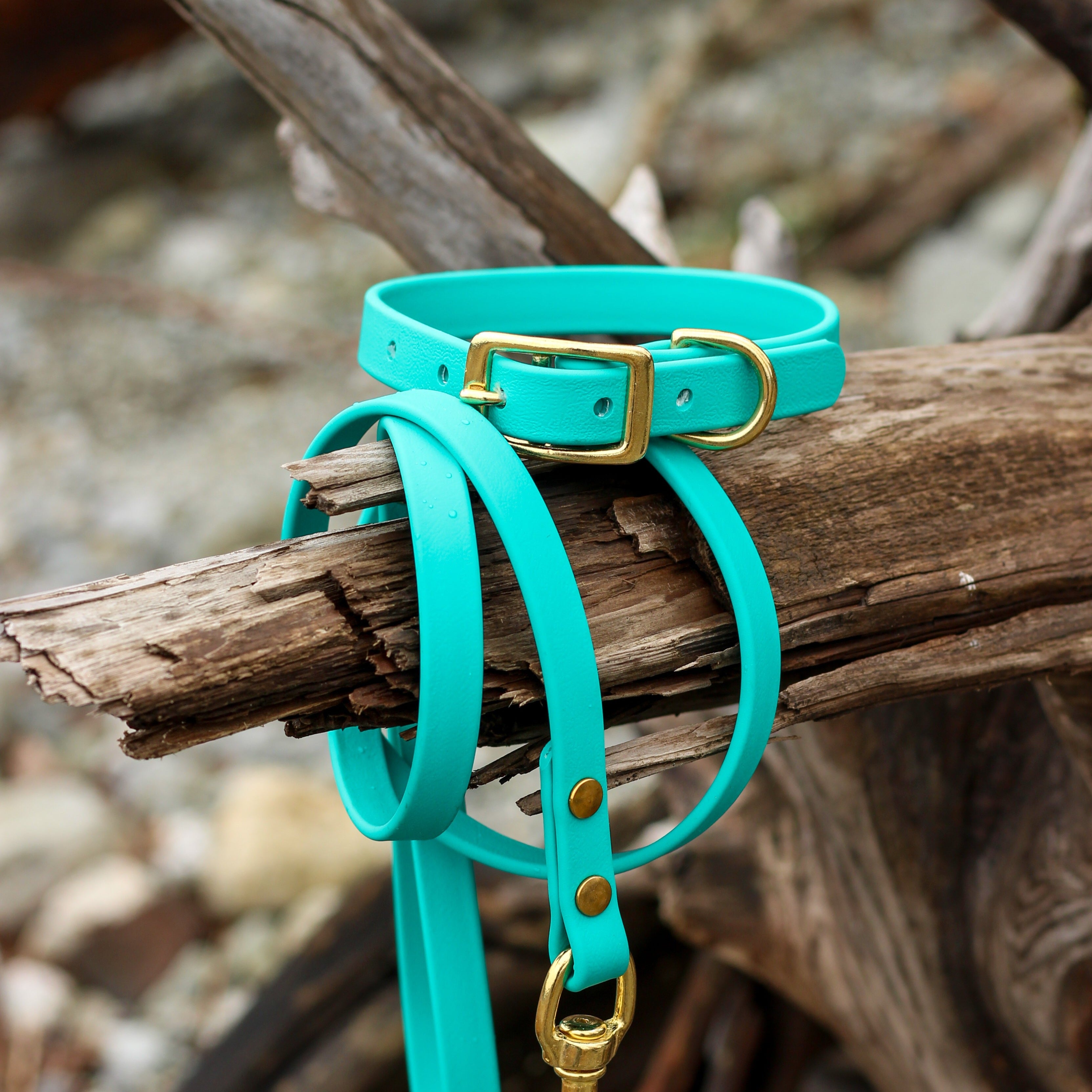 Teal Colored Waterproof Biothane Dog Collar and Leash