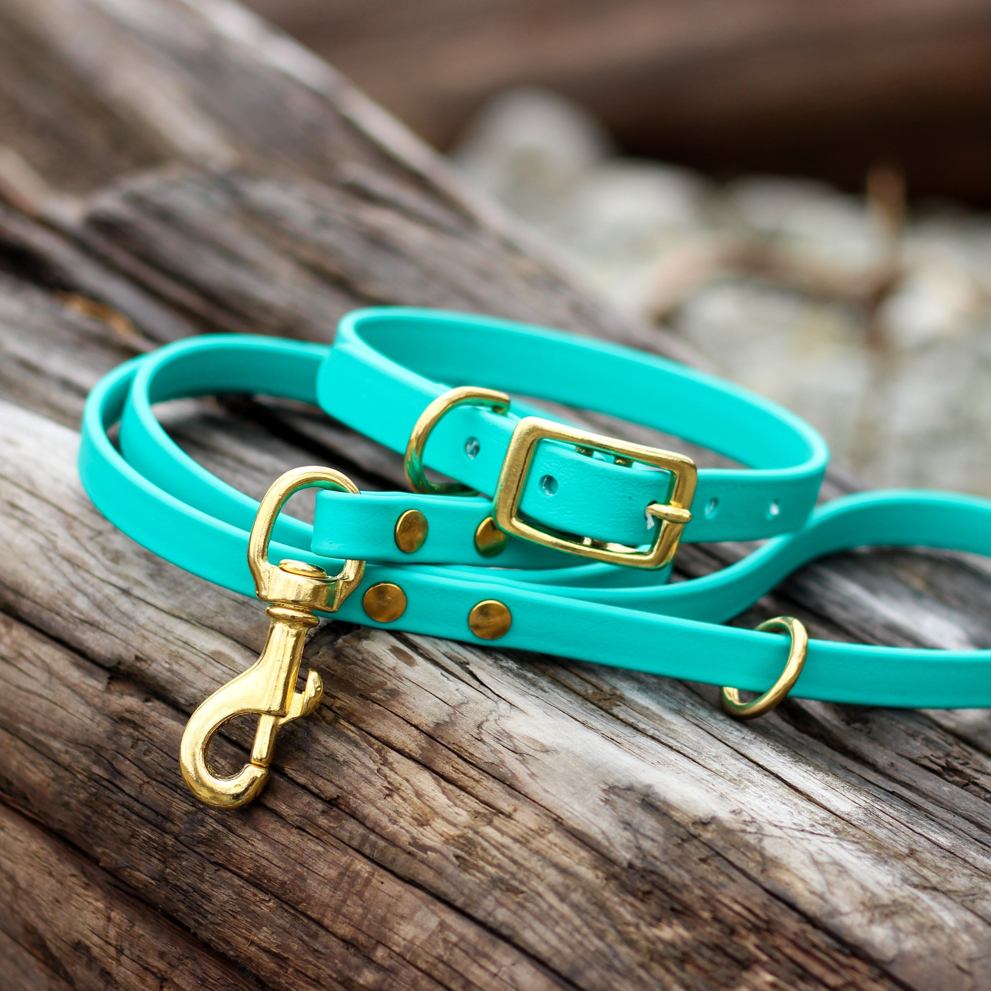Teal Colored Waterproof Biothane Dog Collar and Leash