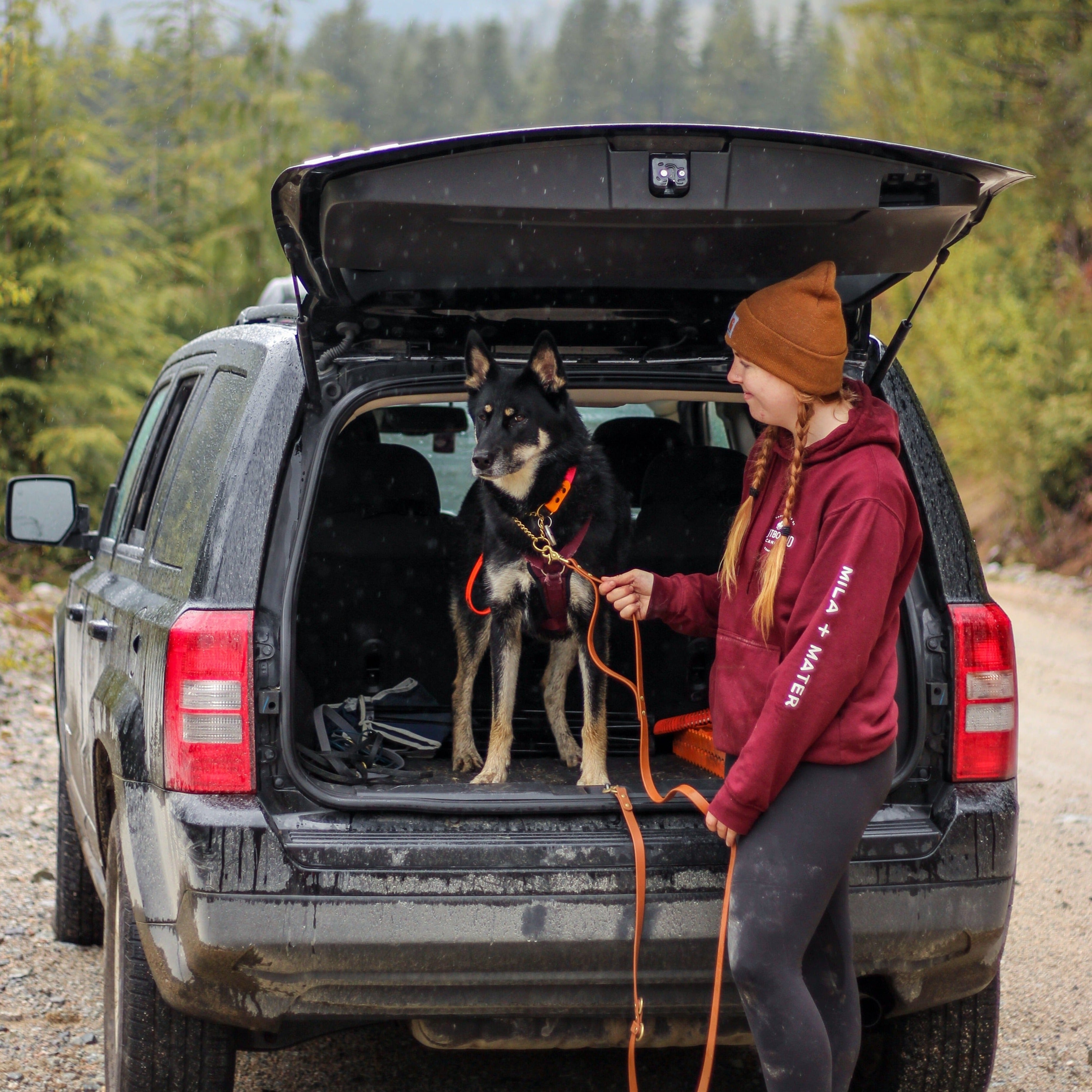Woman anchoring her Husky Dog in the back of her Jeep using a Biothane Hands-Free Dog Leash