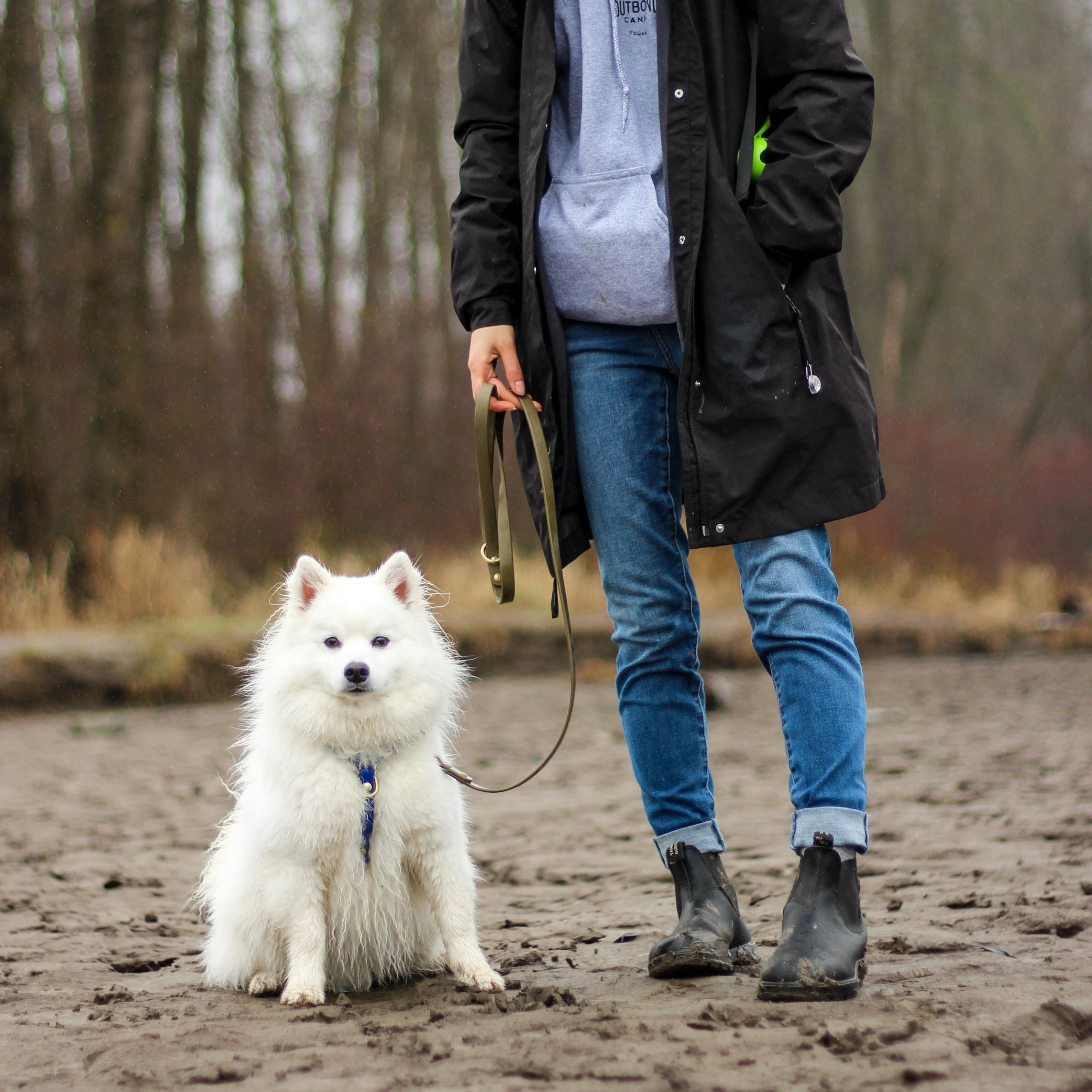 Eskimo Dog and Owner standing on a beach
