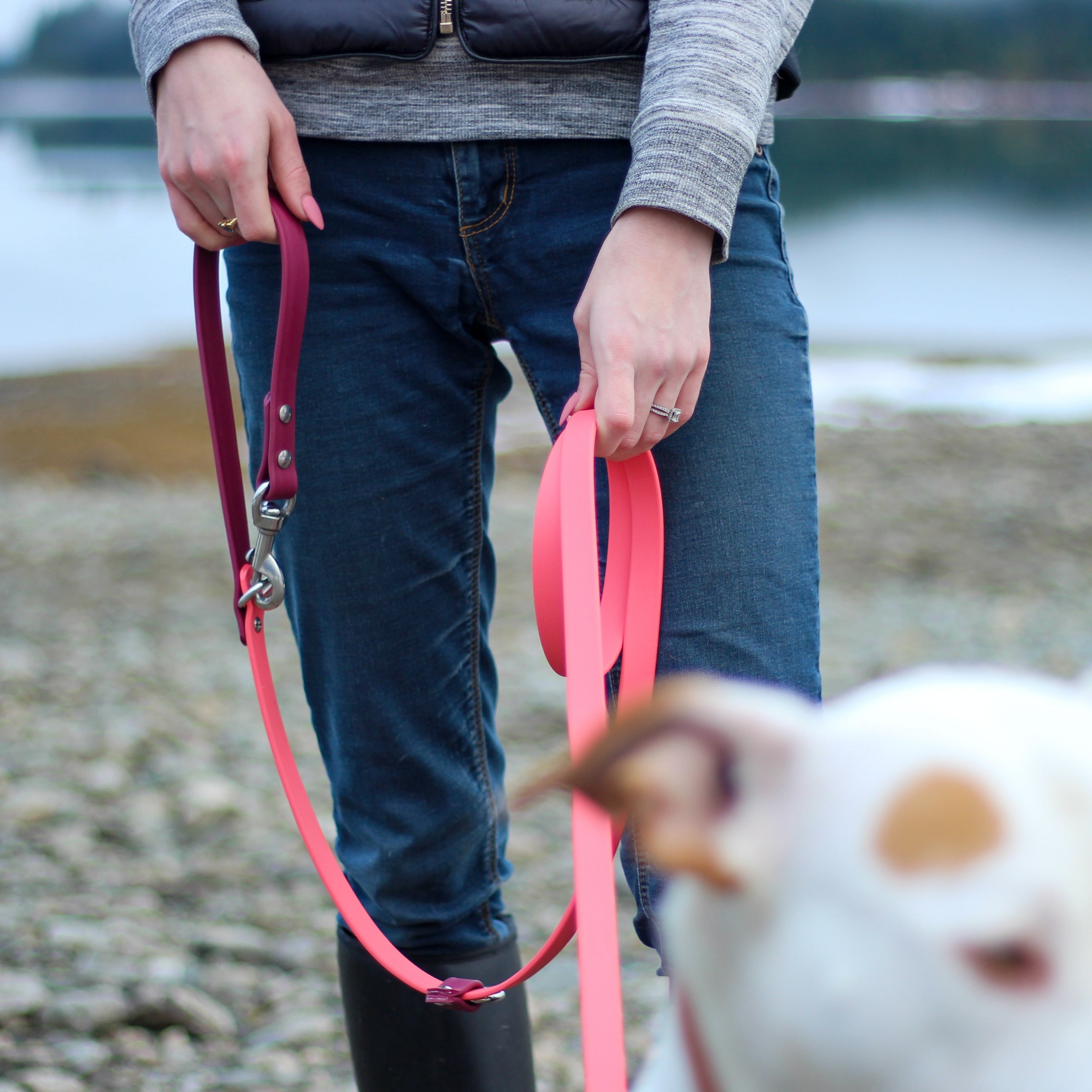 Woman walking her dog using a Pink Hands-Free Dog Leash